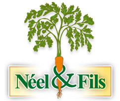 Néel & Fils - Producteur de Carottes Diamantine et Autres Légumes - Créances, Manche, Normandie